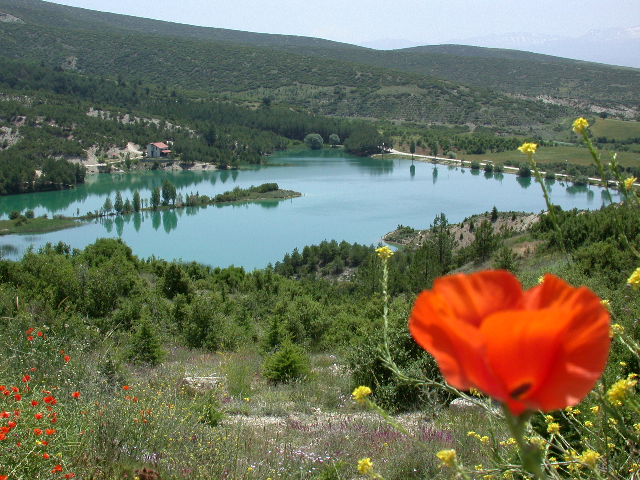Bağarası Göleti